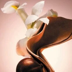 Hugo Boss The Scent Le Parfum Eau De Parfum 100 Ml -Cosmetica Winkel 1200x1200 237