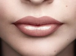 L'Oréal Paris Color Riche Shine Lippenstift - 658 Topless -Cosmetica Winkel 1200x895